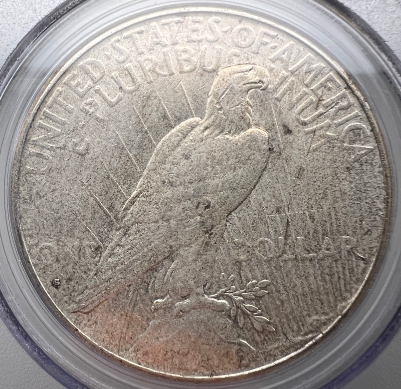 10-Days-Of-Peace-Dollars!